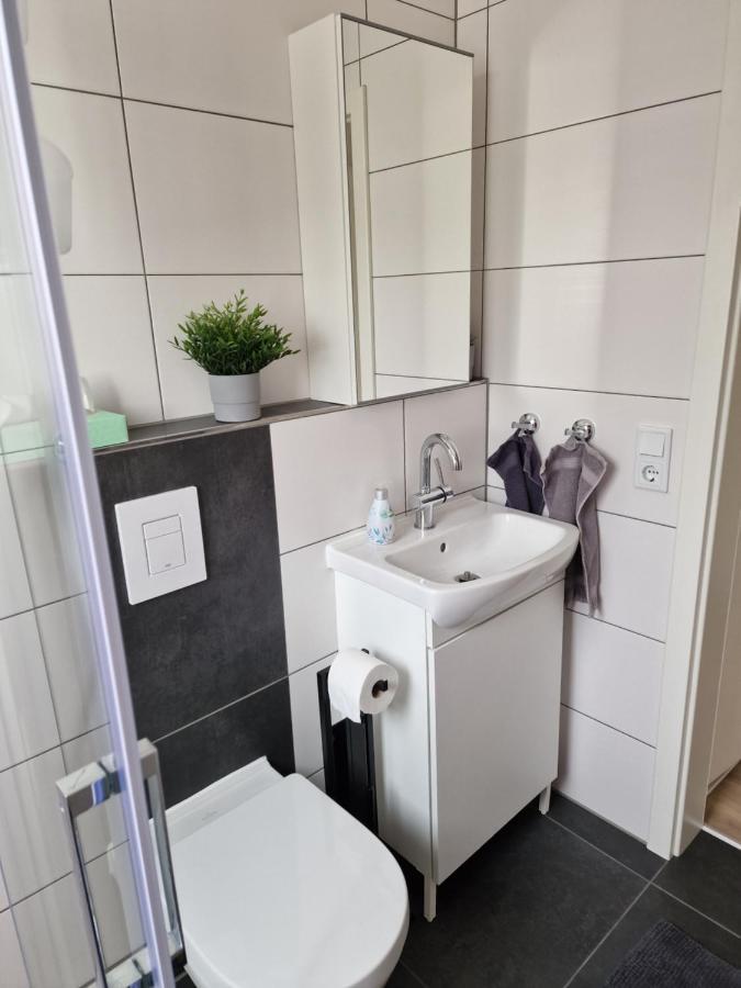 Ferienhaus Steigrhein Filsen Екстериор снимка